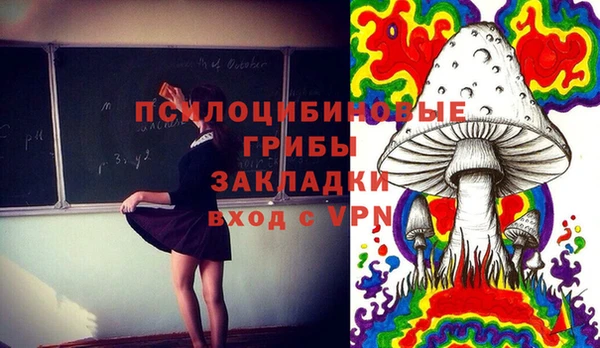 PSILOCYBIN Богородск