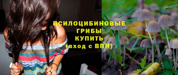 jwh Богородицк