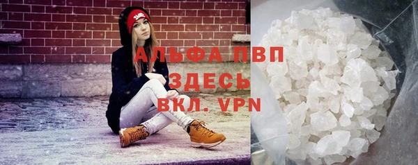 дживик Белокуриха